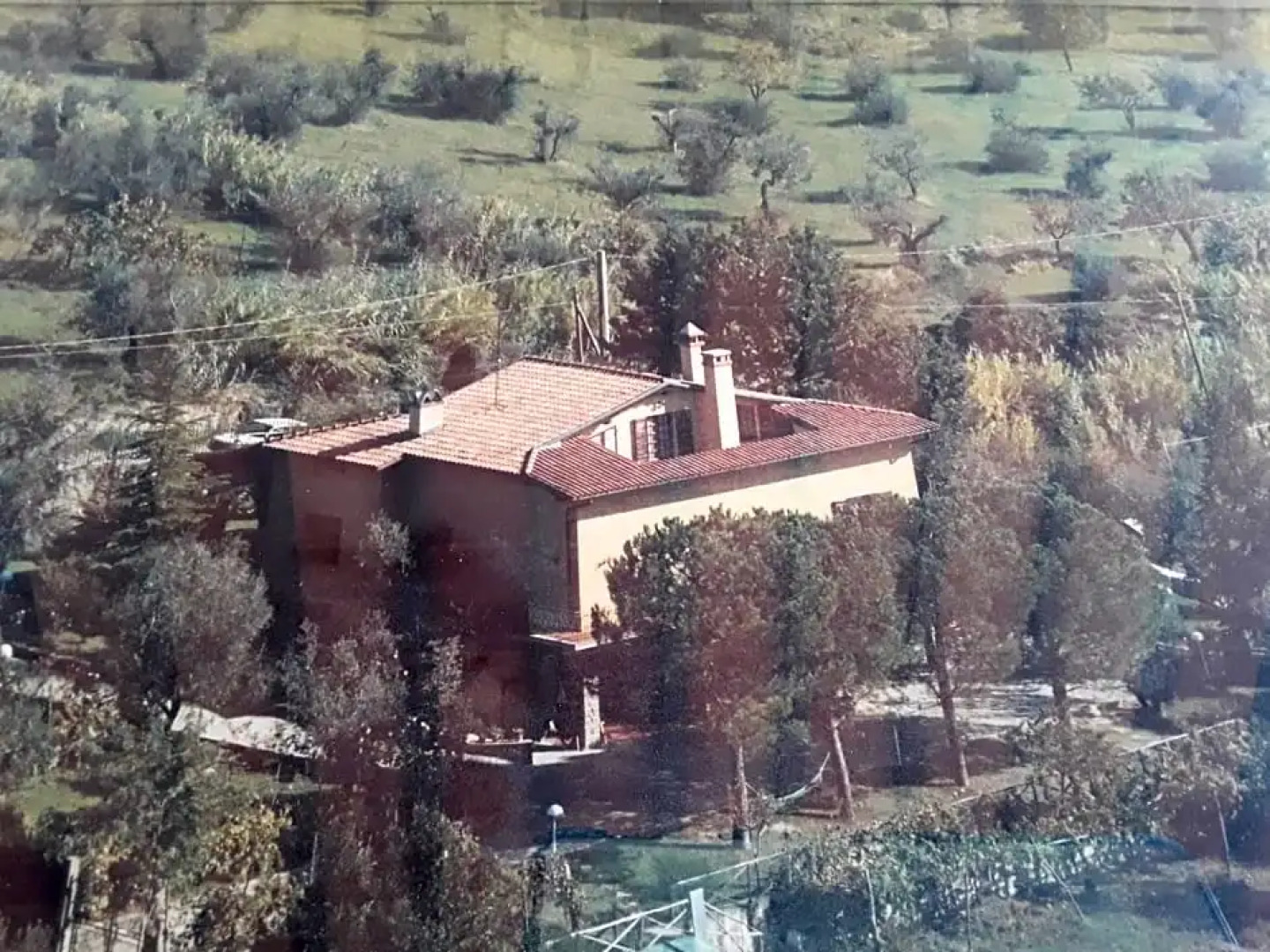 La Collina Degli Olivi