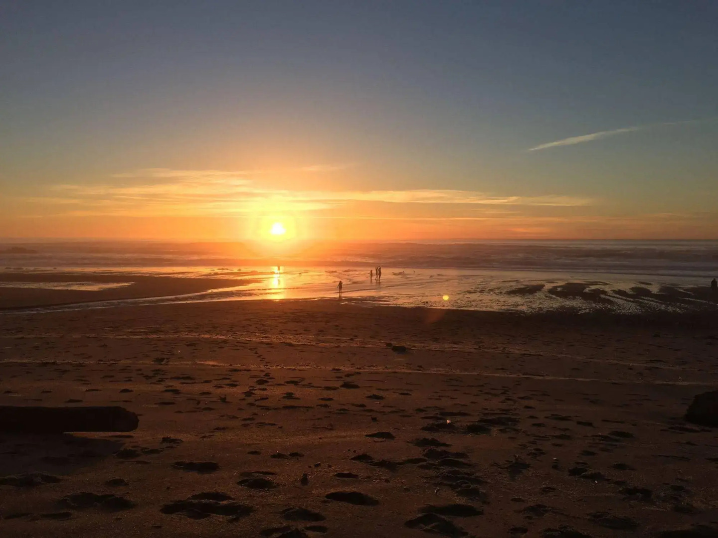 The Sandcastle Beachfront Hotel