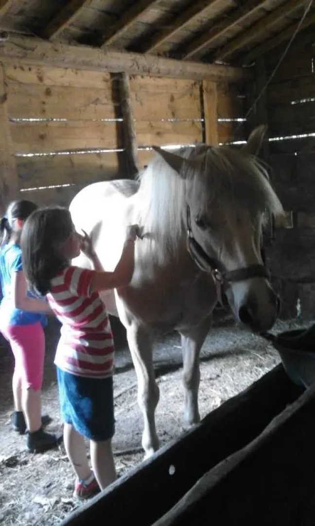 Agriturismo Villa Brugolta