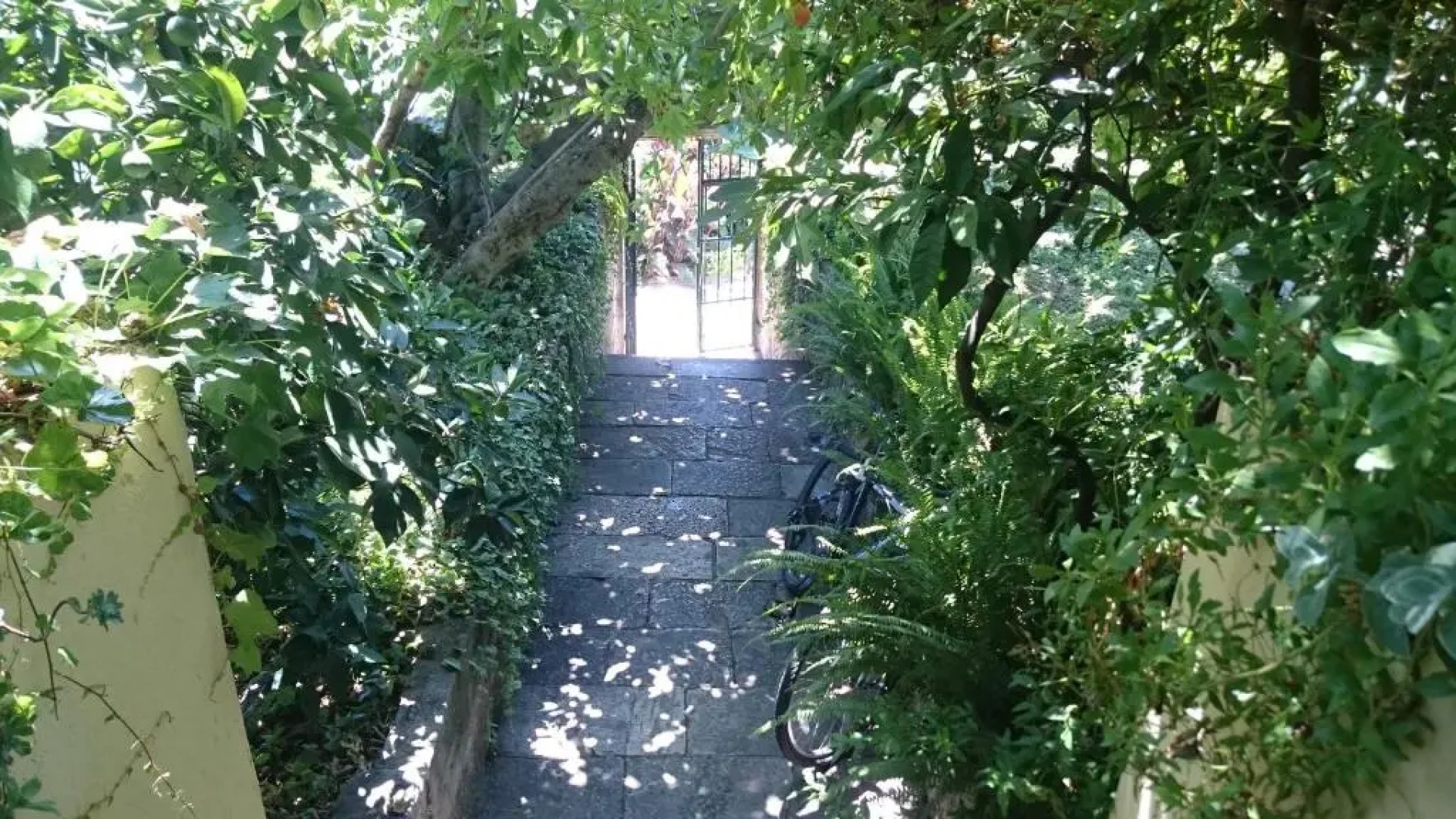 Apartments Petković