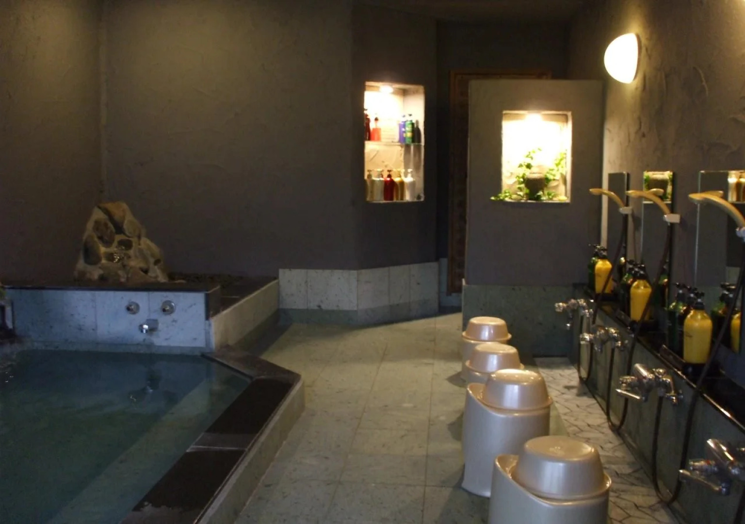 Hotel Natural Garden Nikko