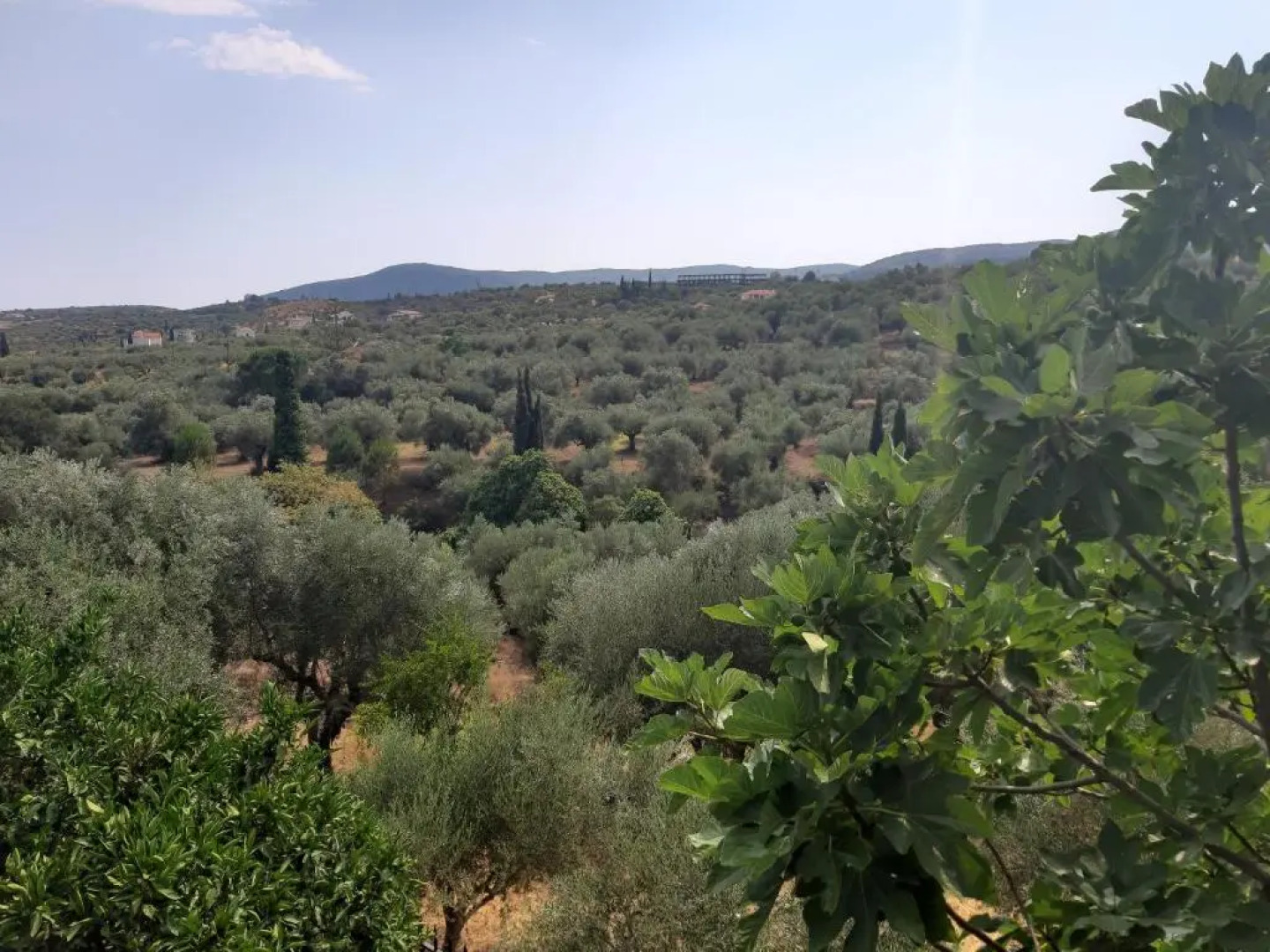 Konstantina's House II