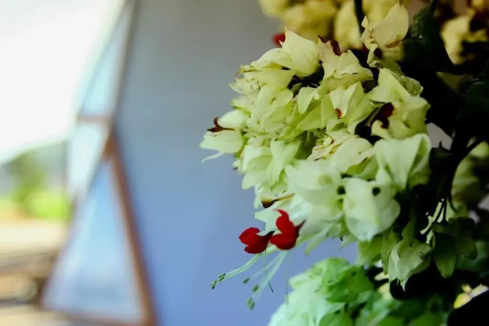 Serranía del Viento