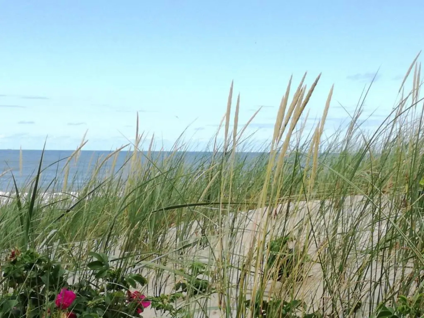 Ferienhäuser Fischerweg