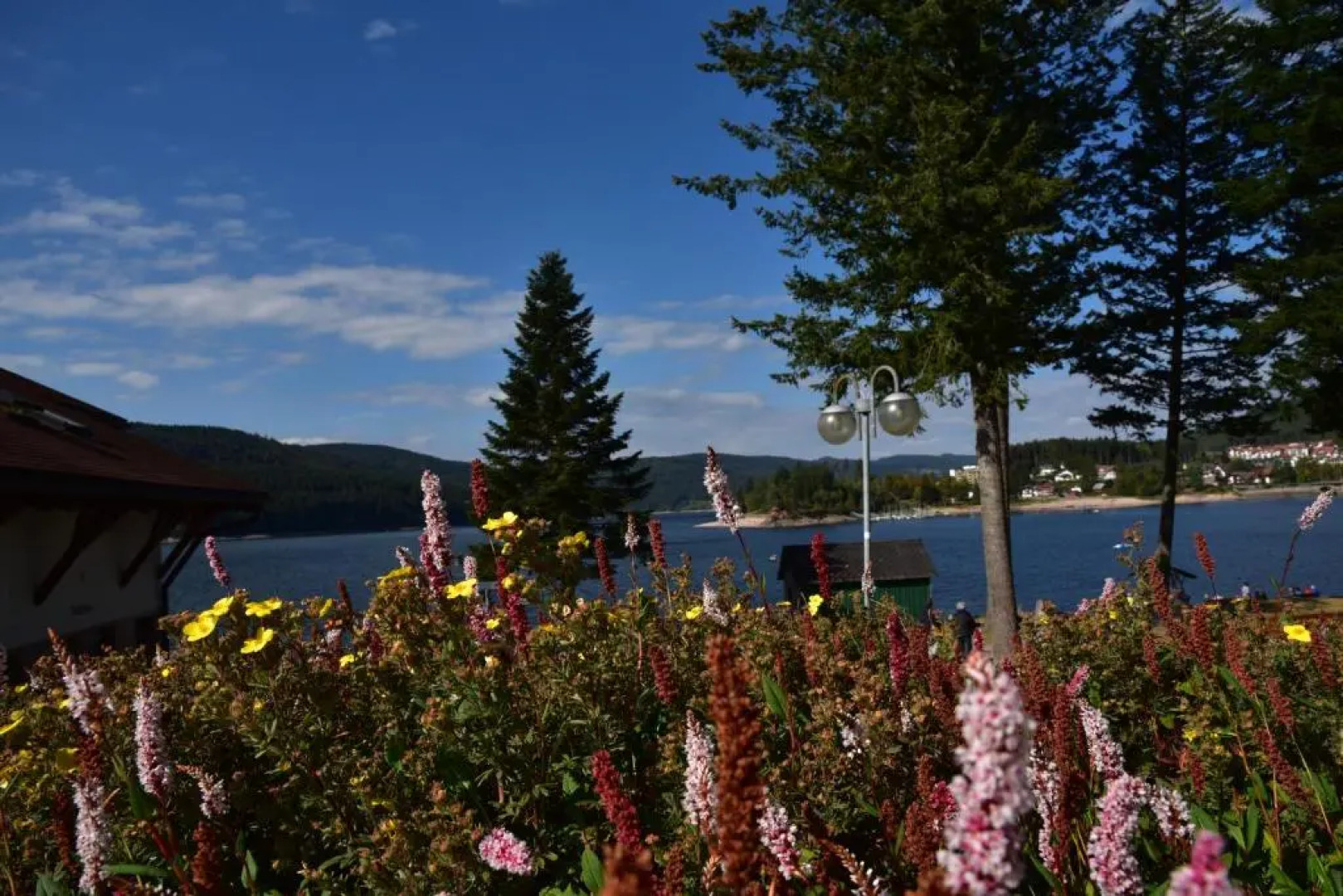 Apartment Eisenhauer in Schluchsee