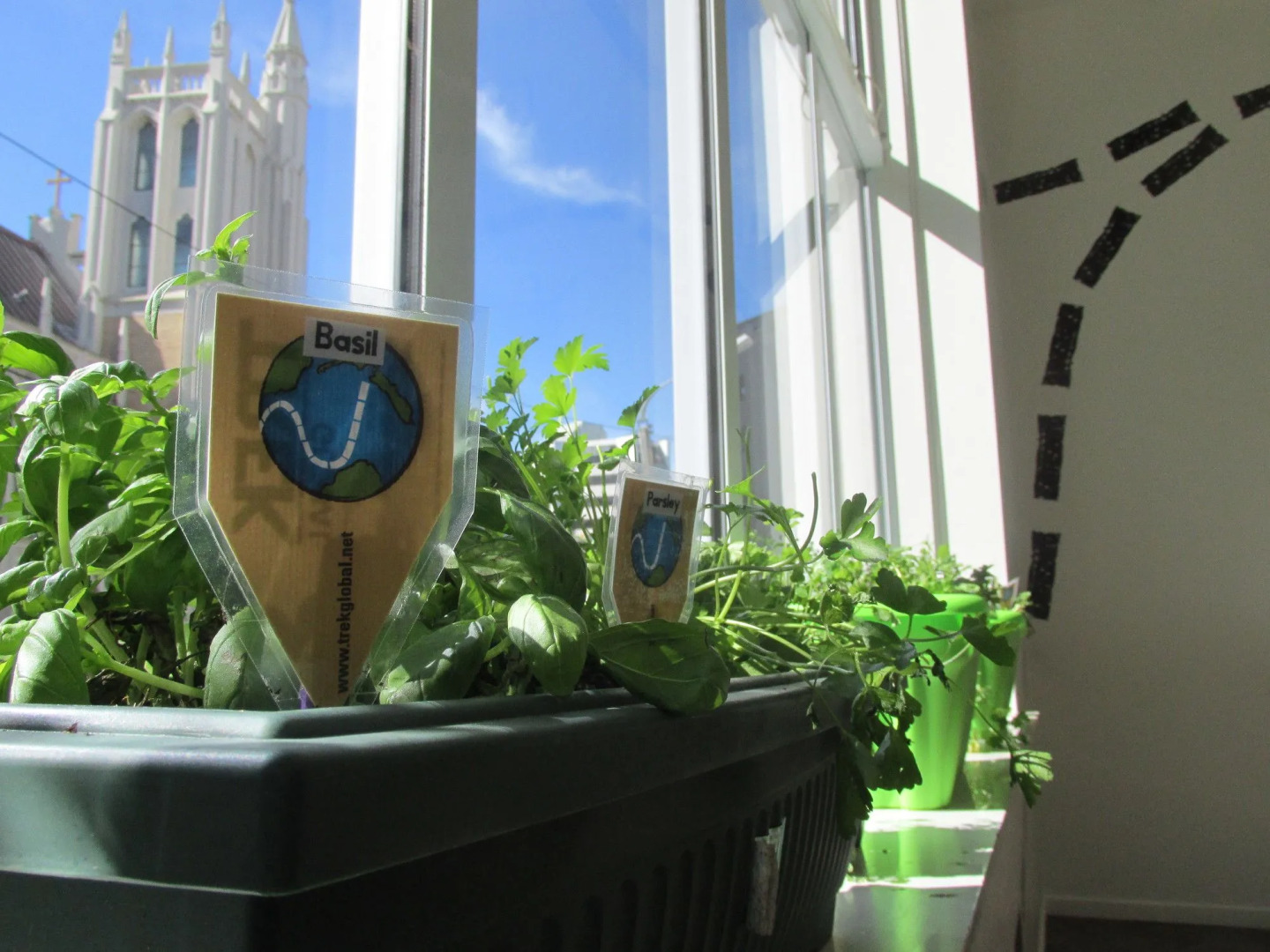 Trek Global Backpackers