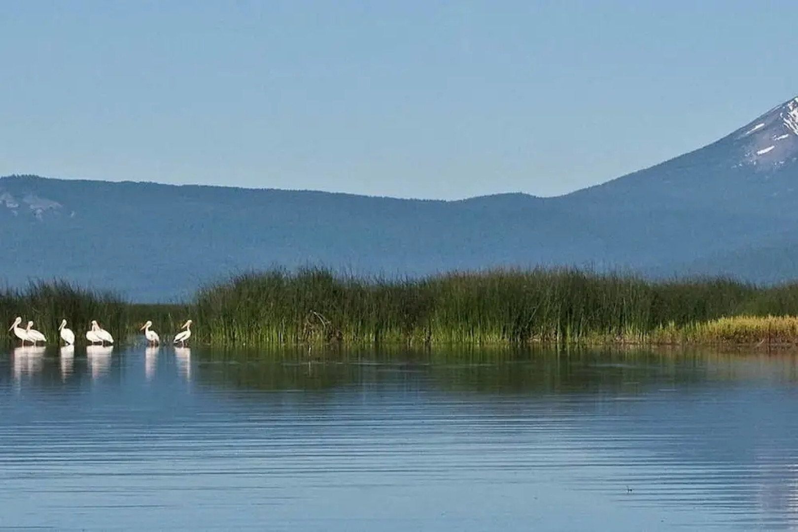 Historic Red Smarthouse-King-Walk Dwtn