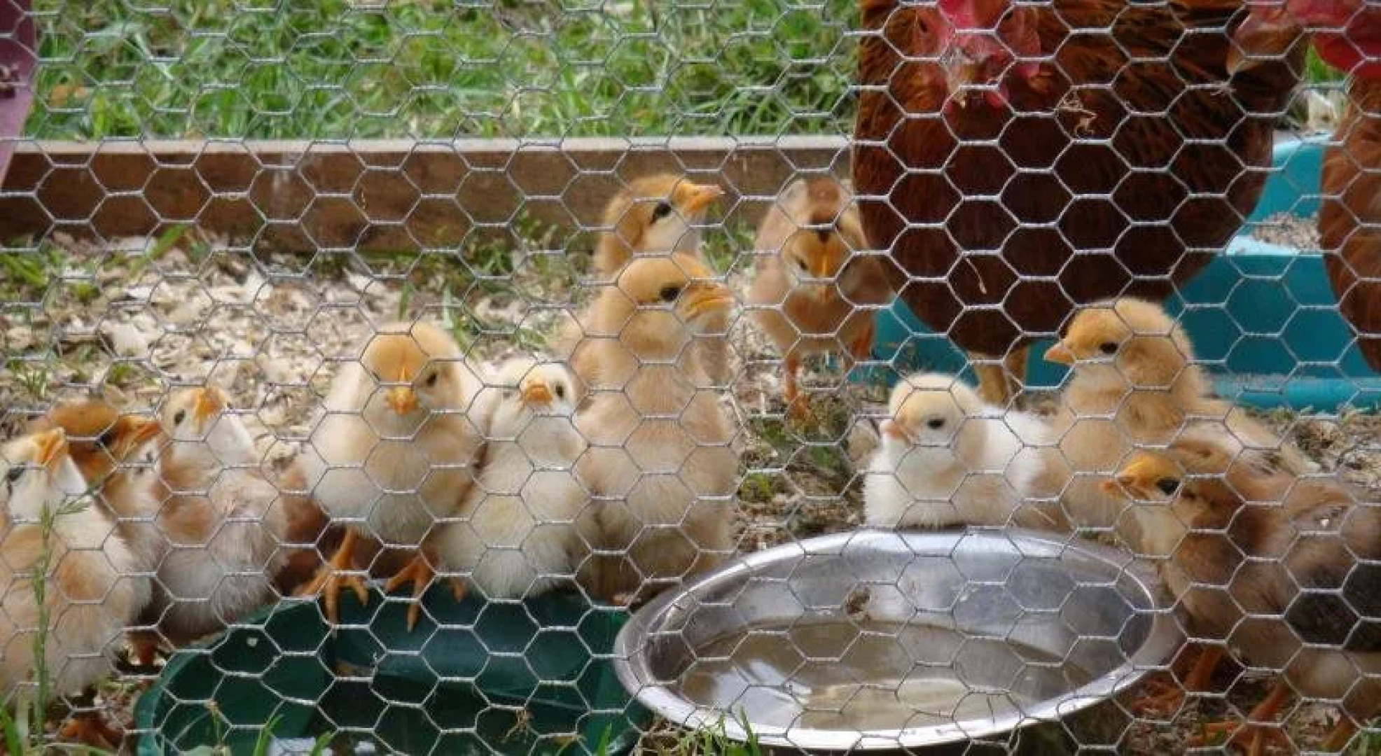 Corrigans Shore House