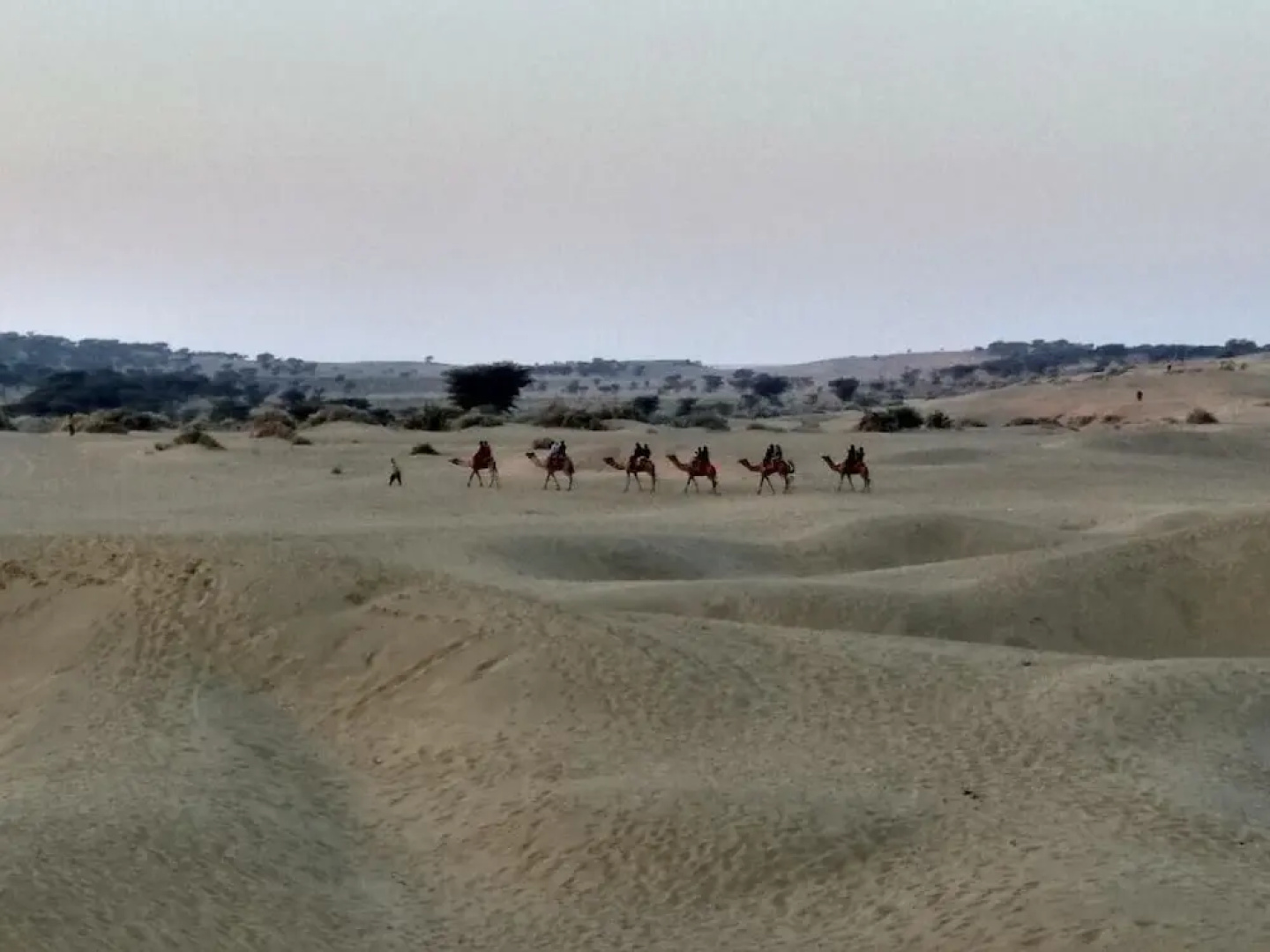 Marvin Desert Camp