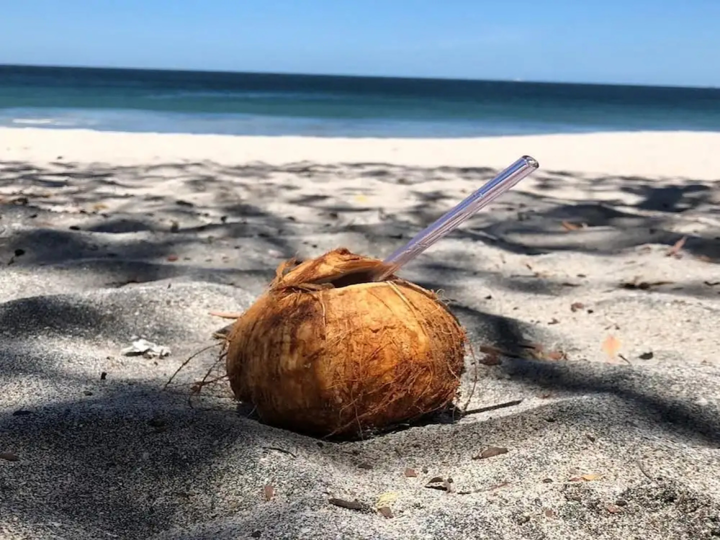 Hotel room-style ocean-view unit in Flamingo with pool