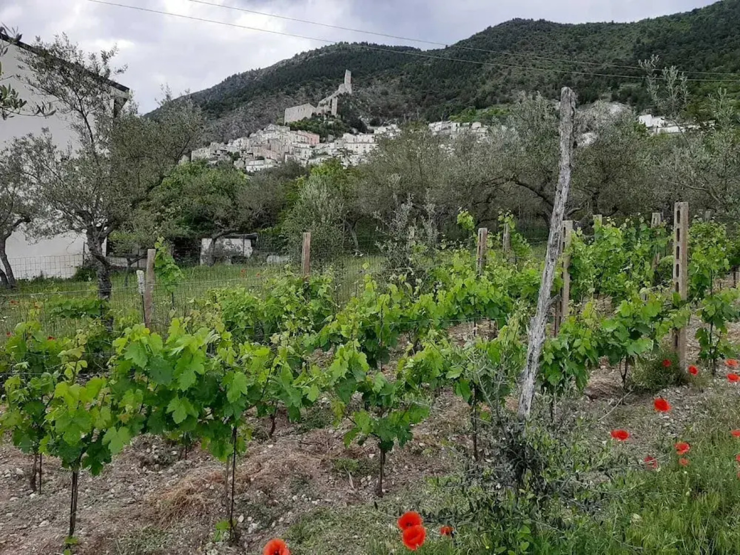 La Rocca Mia House B&B