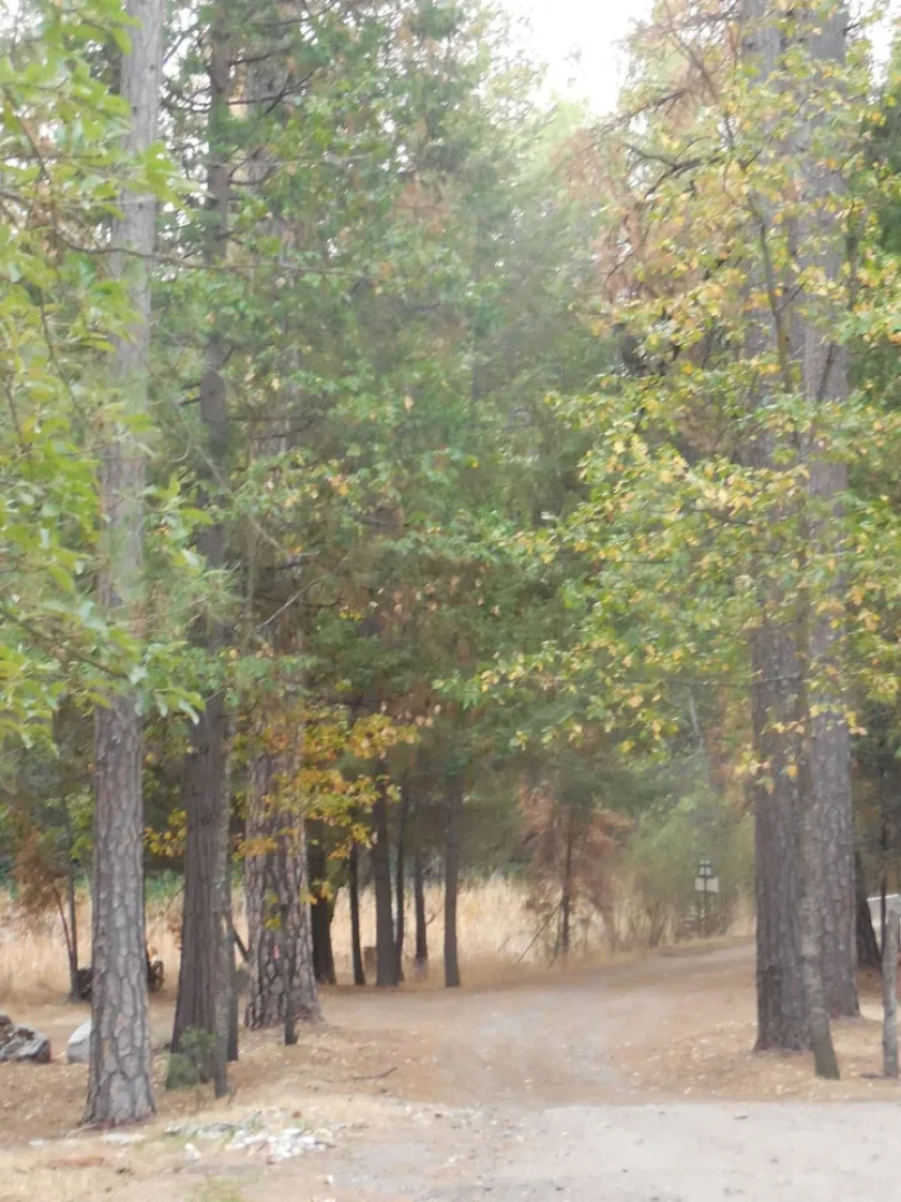 Yosemite Paradise Inn