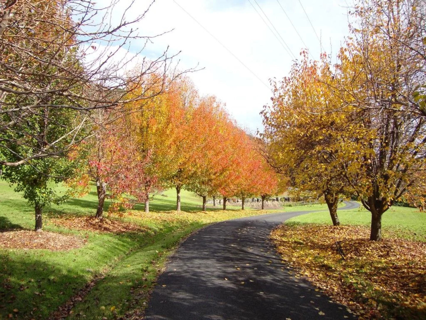 The Drawing Rooms of Berry