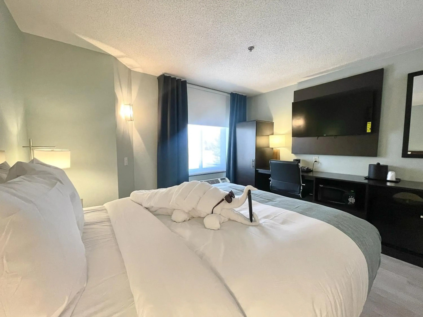 Wingate by Wyndham Salisbury