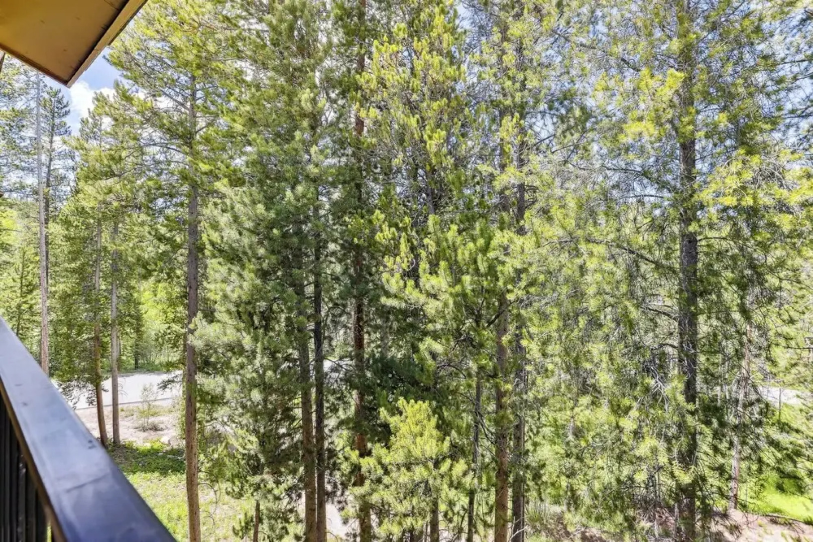 Cozy Winter Park Condo: Bike, Ski, & Hike!