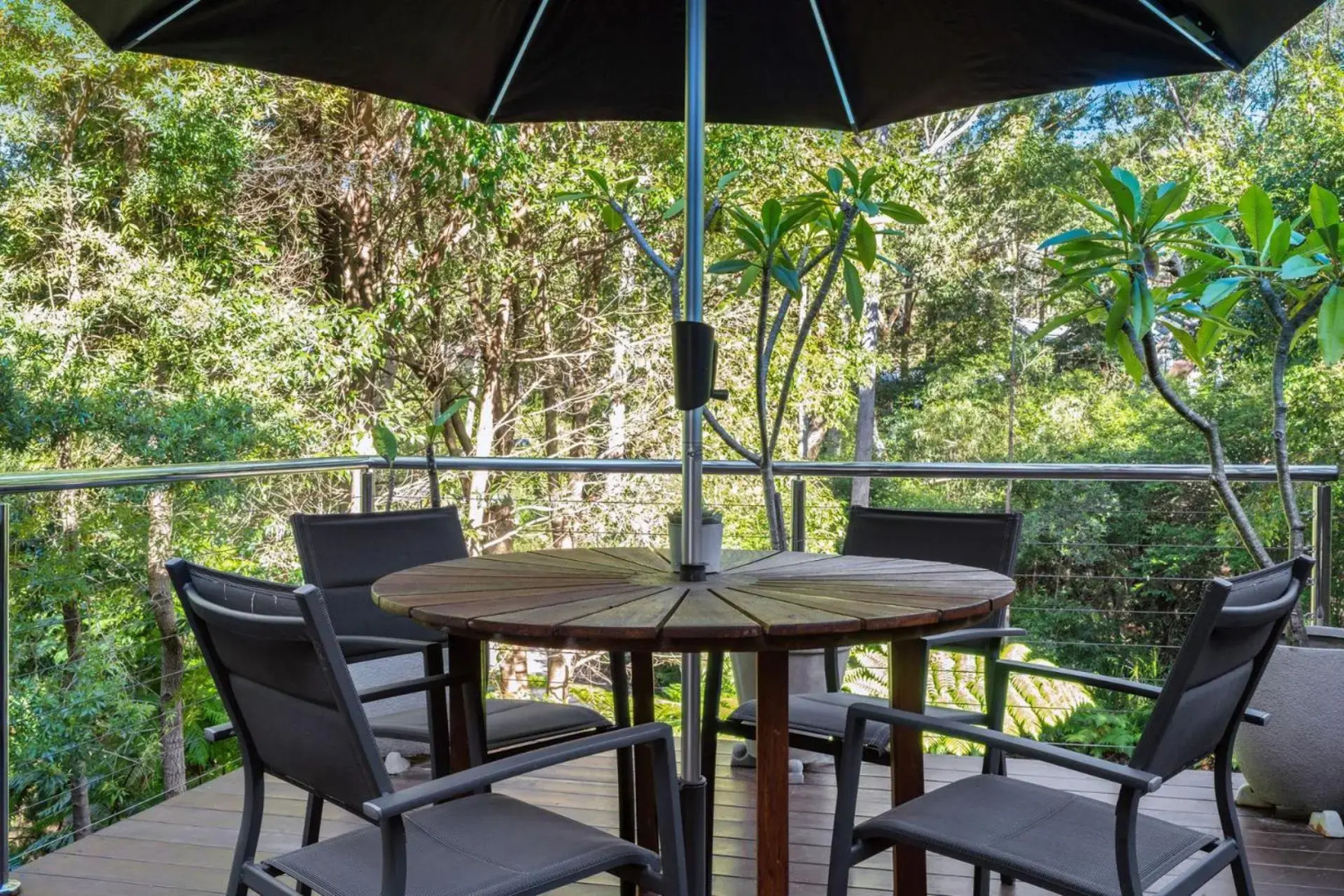 Birdsong at Hyams Beach 4pm Check Out Sundays