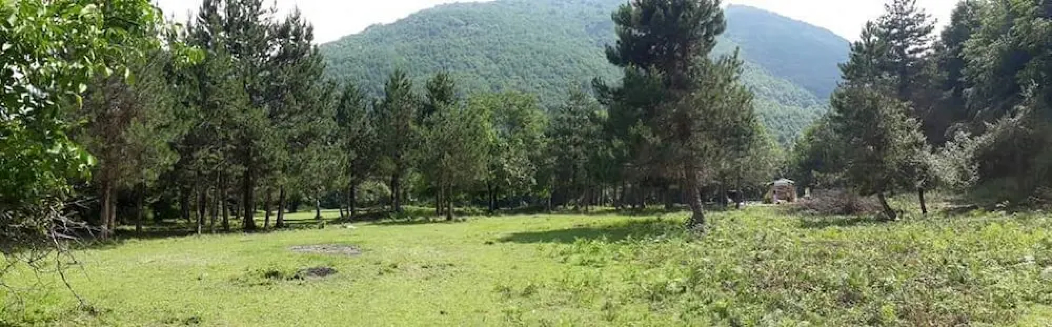 Kirkahvesi Garden - Campsite