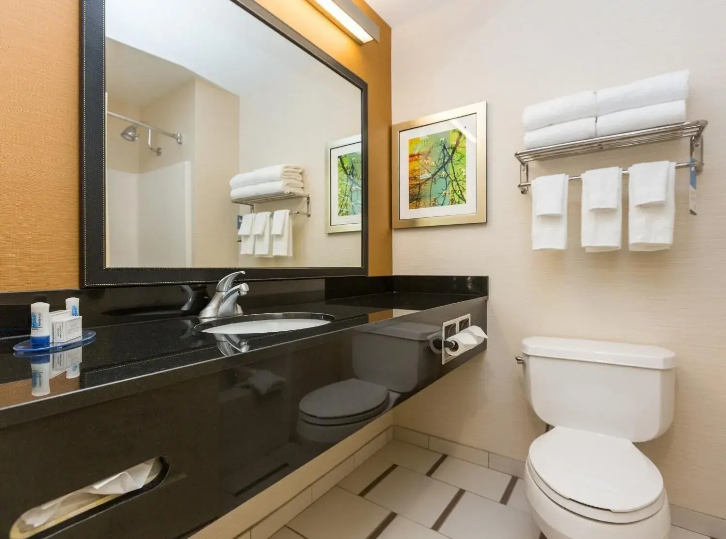 Fairfield Inn and Suites by Marriott Des Moines West