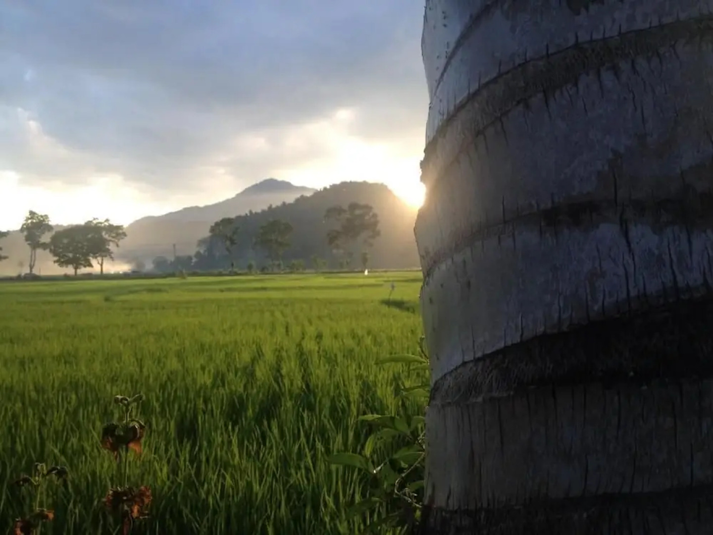 Sijo art and guesthouse