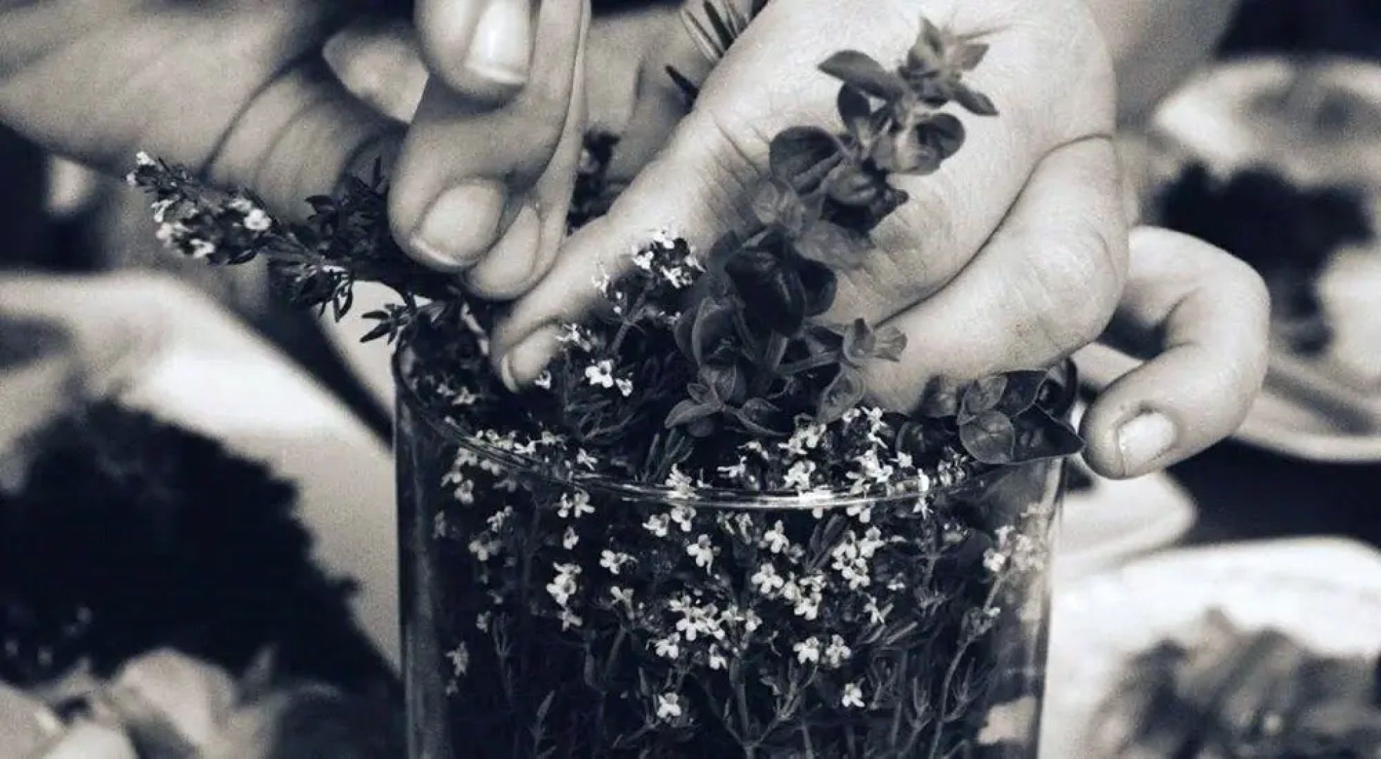 Gasthaus zum Stickelberg