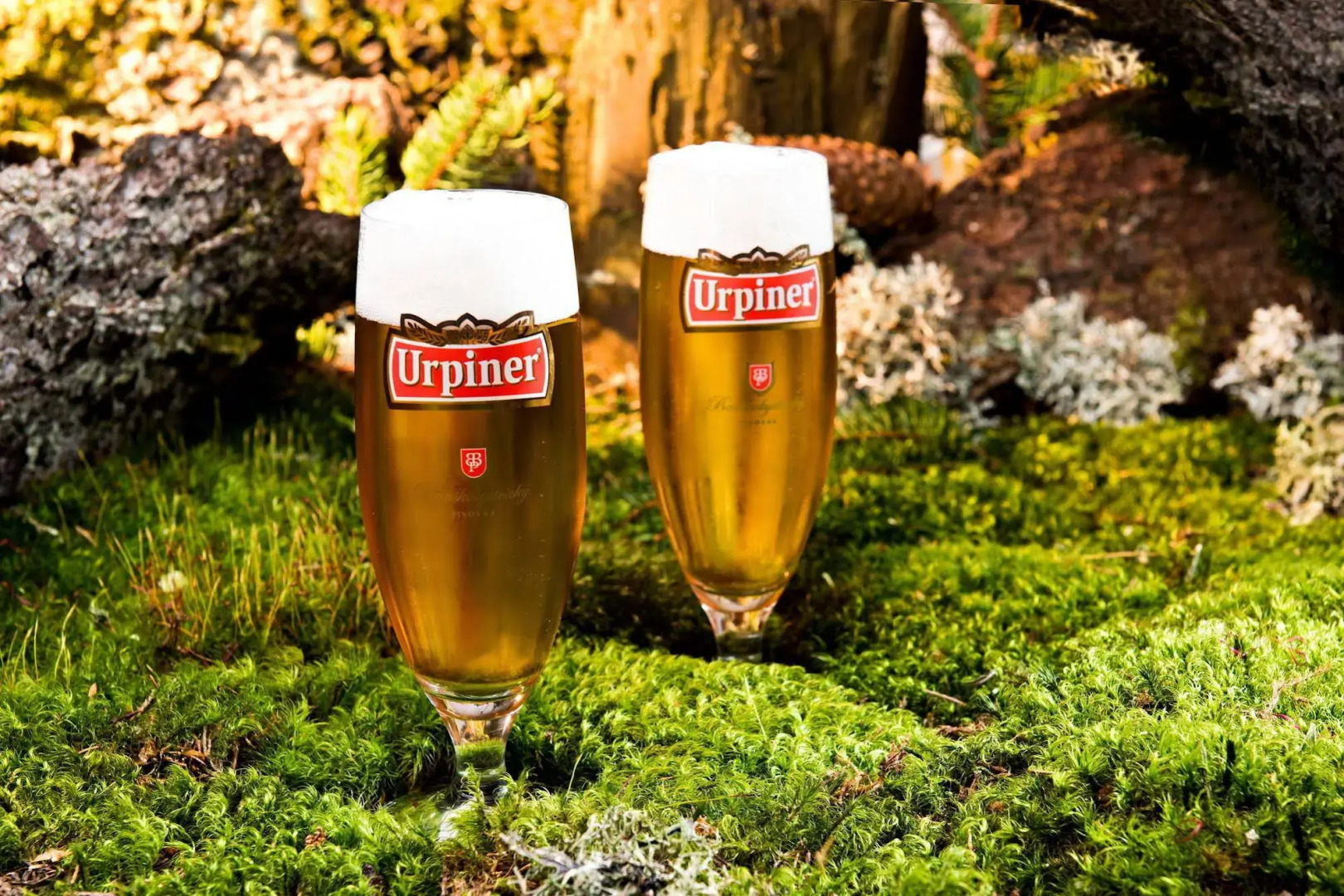 Eko sport hotel Björnson