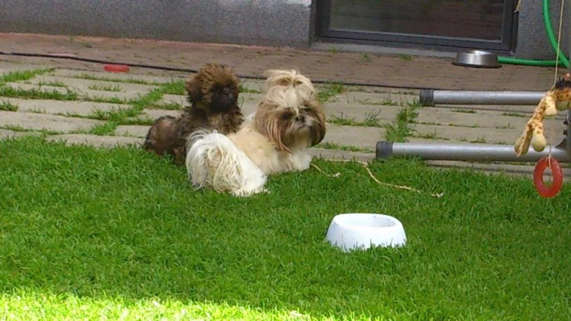 Appartement Eberharter Conny & Walter