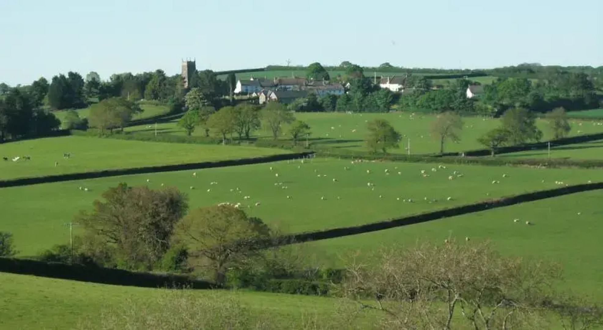 Parsonage Farm Bed & Breakfast