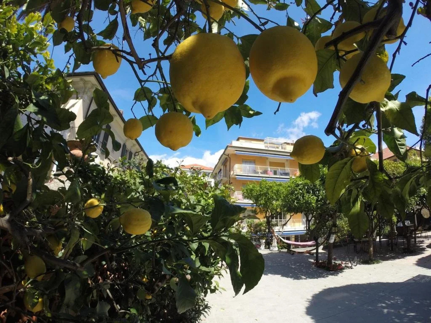 Hotel Villa Delibera