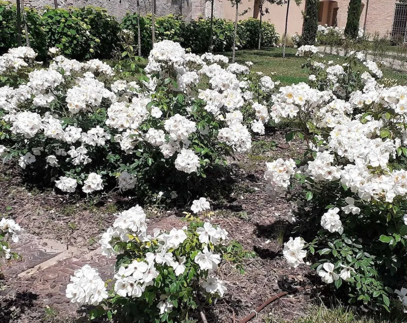 Palazzo Dè Rossi Hotel