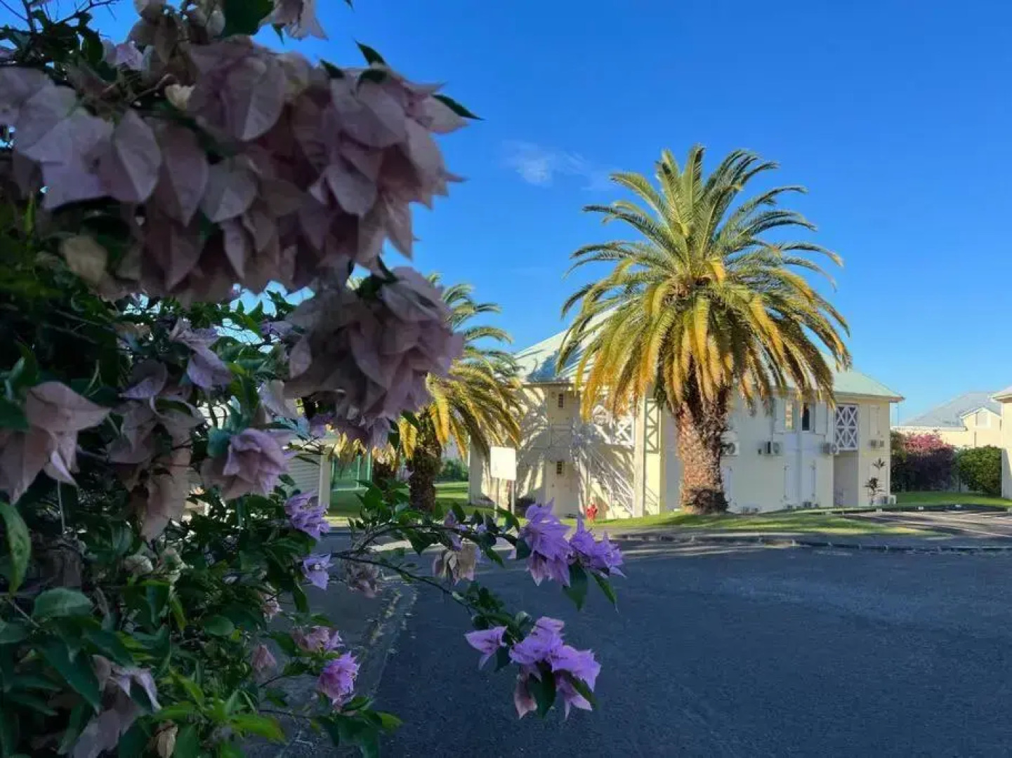 Zabana Lodge, dans un jardin tropical avec piscine