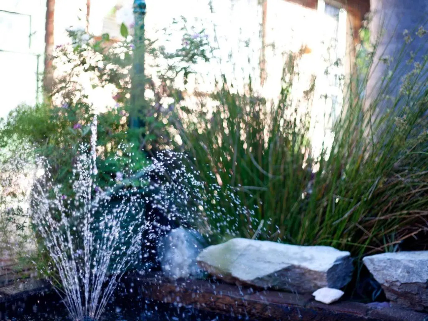 Andelomi Forest Lodge