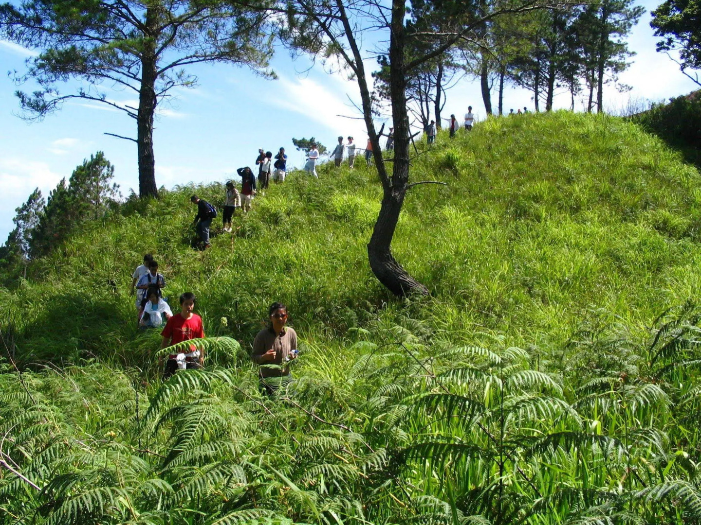 Taman Simalem Resort