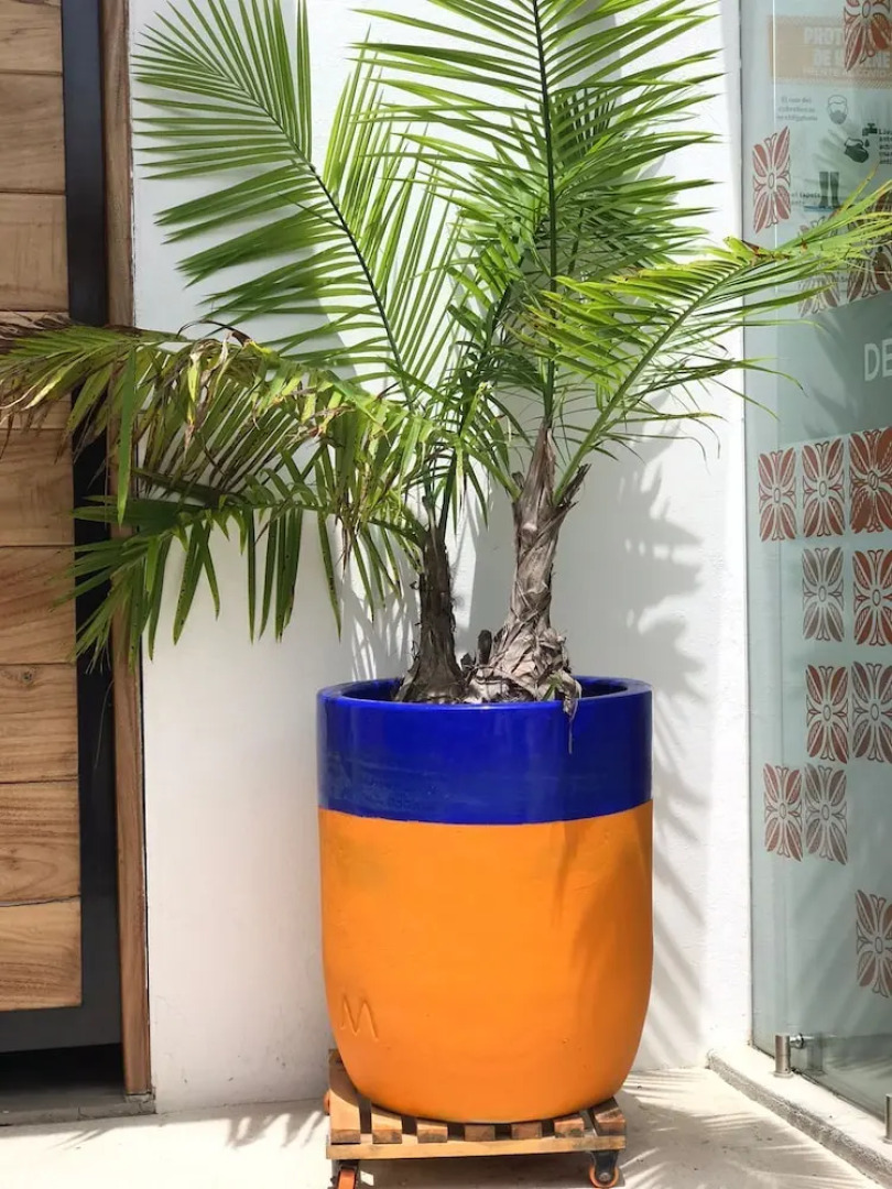 Ximena Hotel Boutique