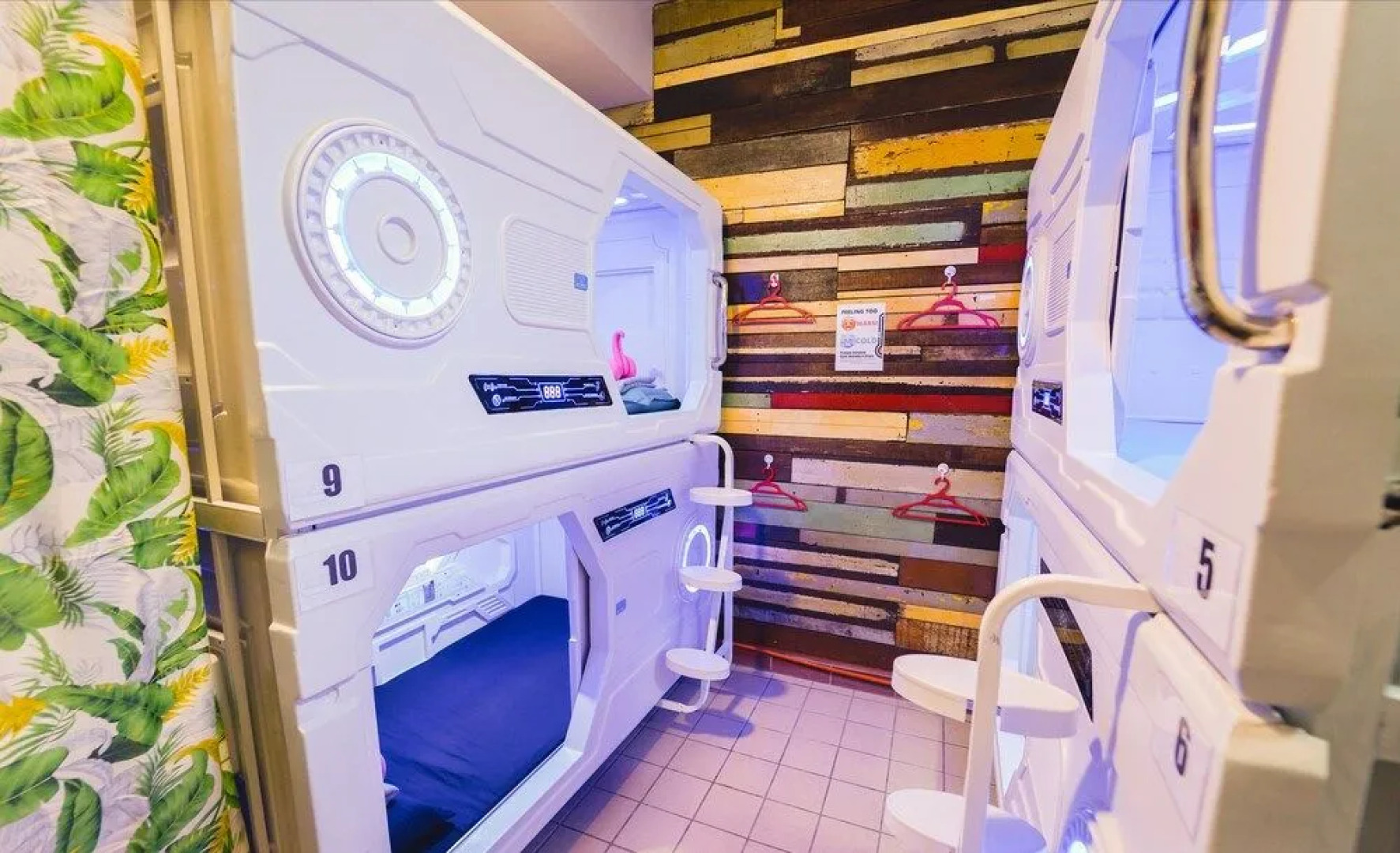 Zzz Sleep Mode Capsule