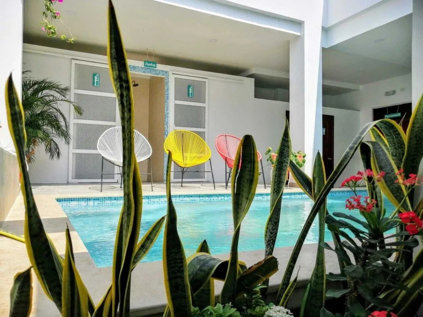 Bona Vida Hostel la Quinta