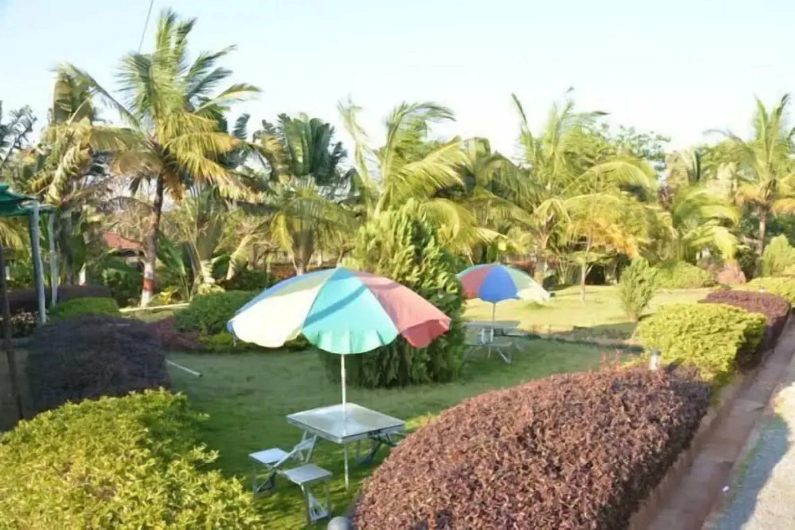 Zip by Spree Hotel Raashi Farm