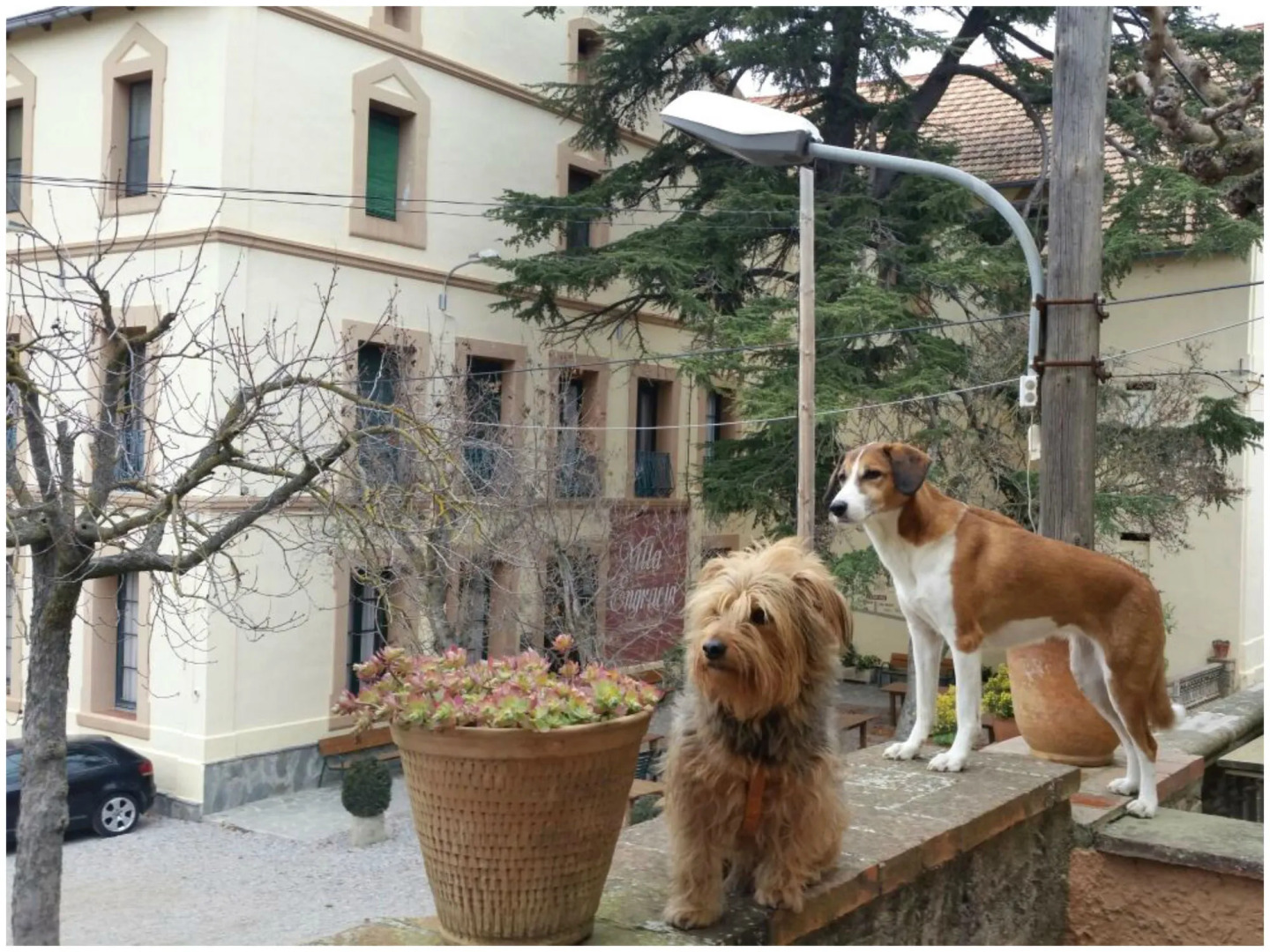 Hotel Rural y Apartamentos Villa Engracia