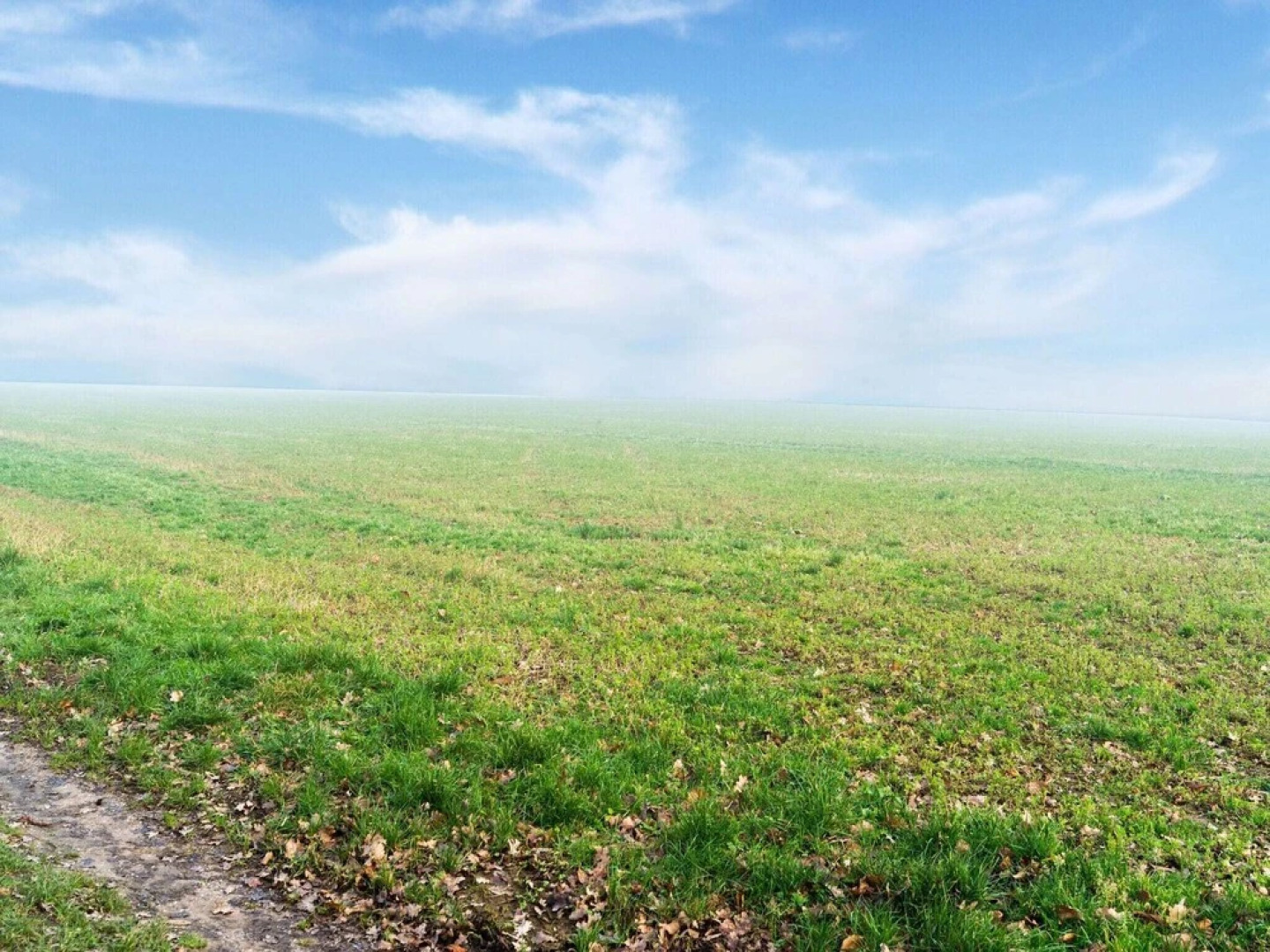 Royal Apartment in Slenaken With Terrace