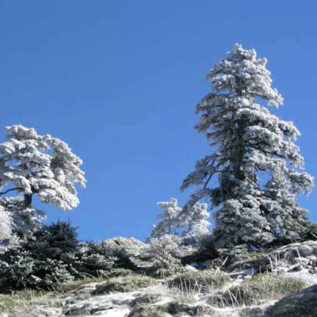 Casa Las 3 Conchas I