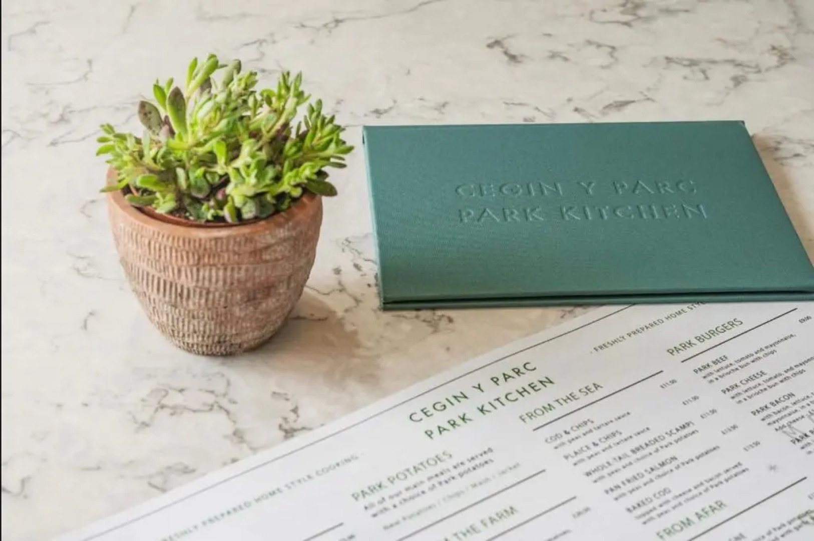 Aberystwyth Park Lodge