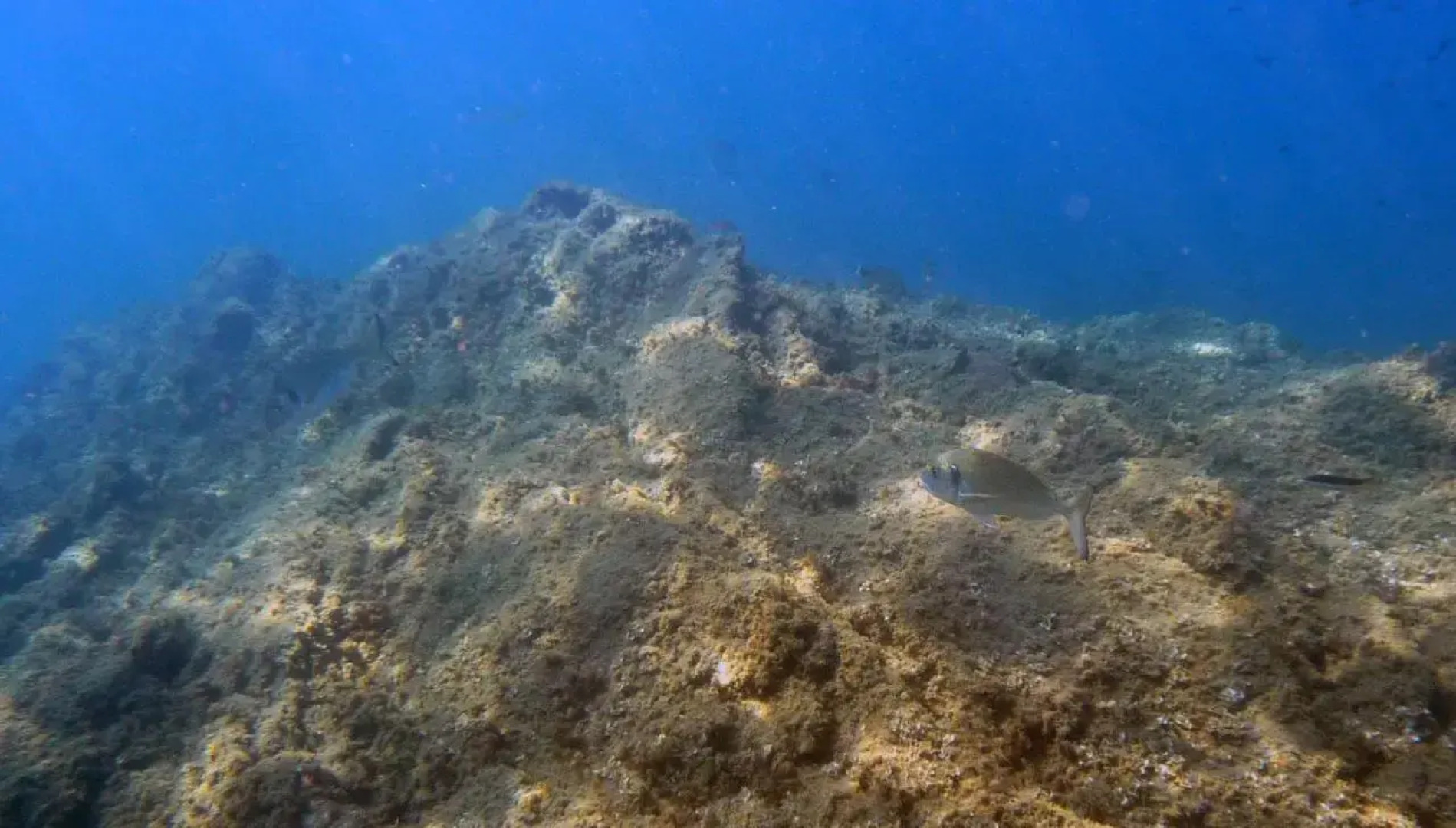 Appartamenti La Quiete