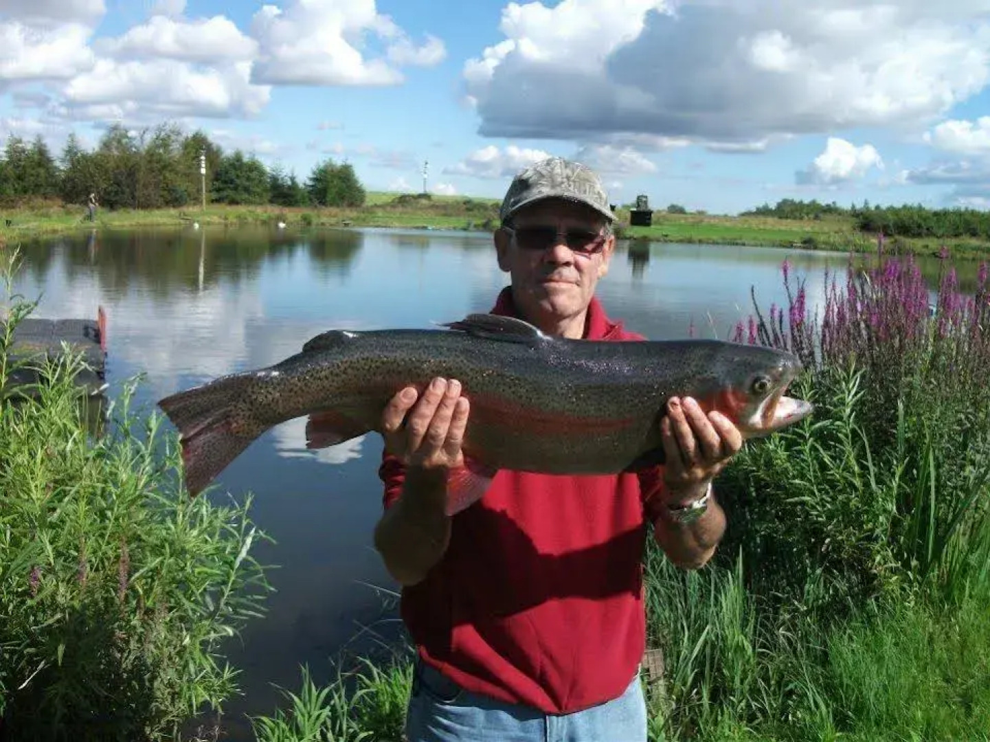Wellsfield Farm Holiday Lodges