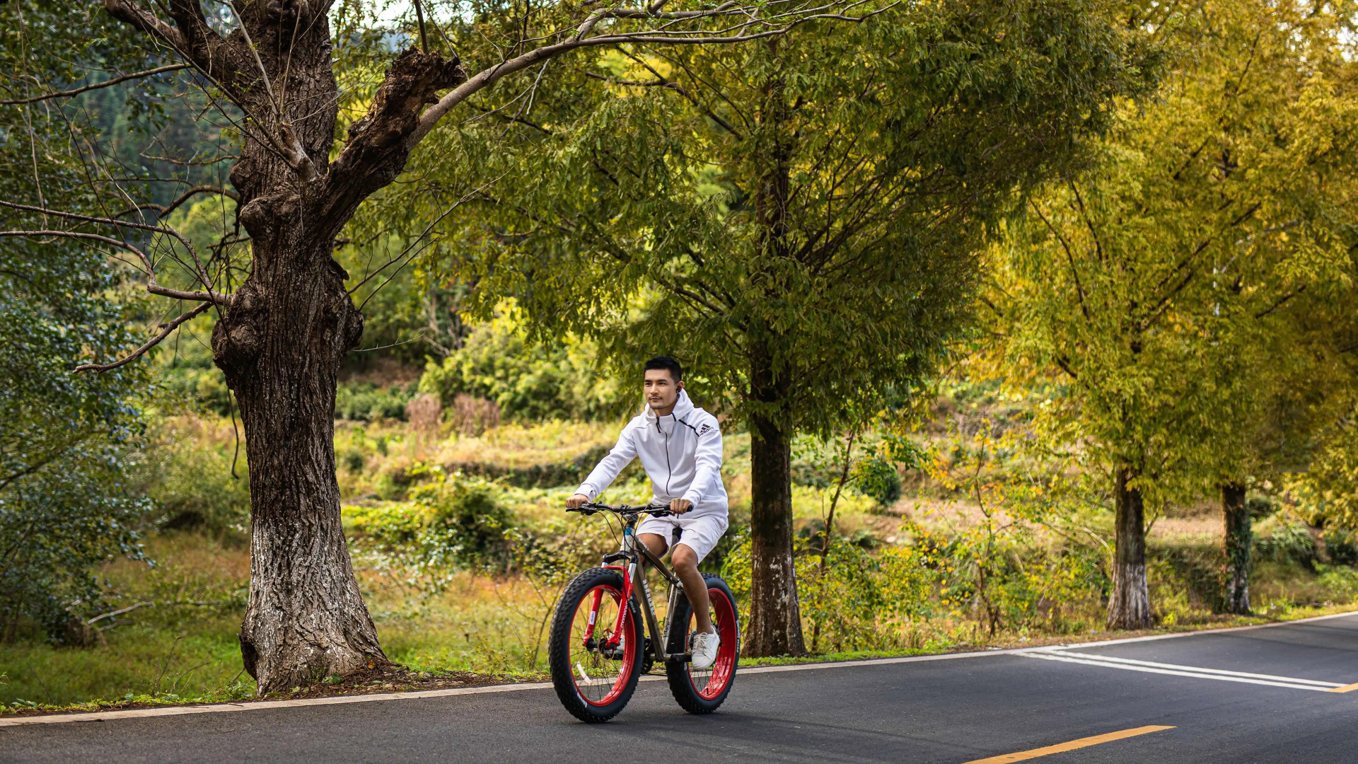 Banyan Tree Huangshan