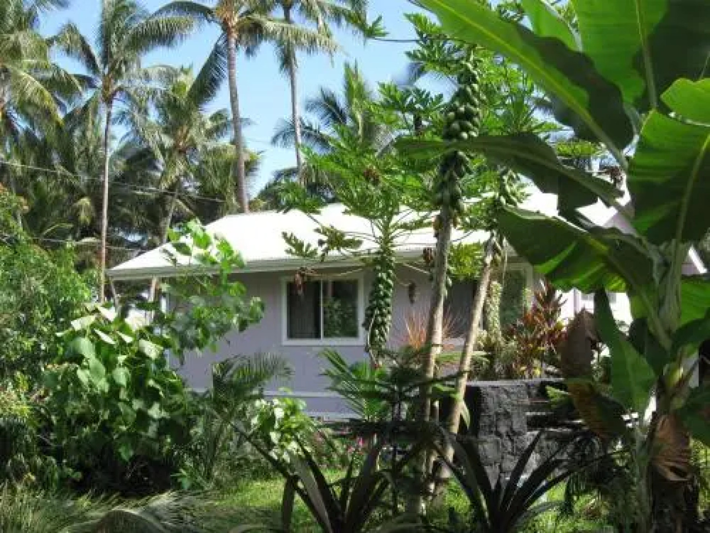 The Dolphin Cottage at Kehena Beach
