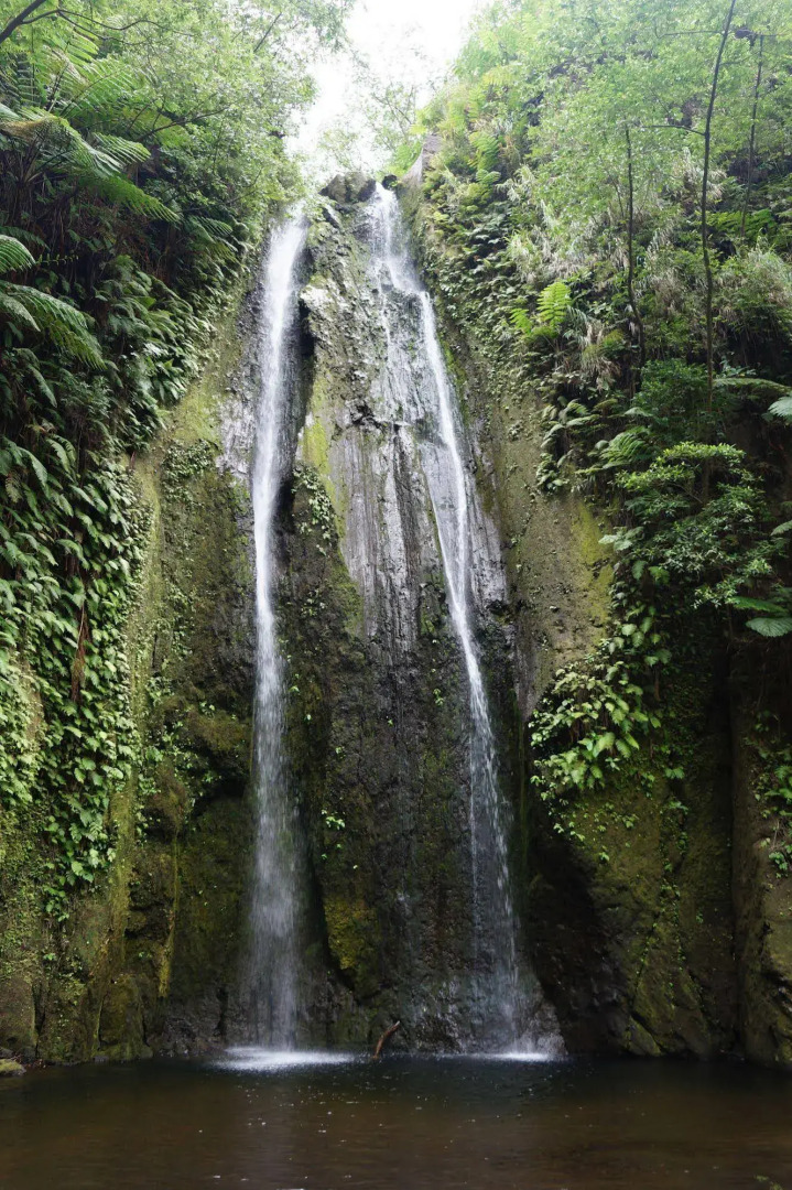 Tanna Lava View Bungalows