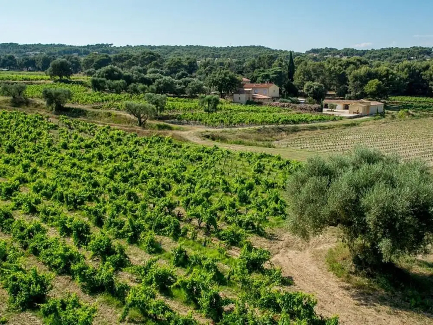 Villa in La Cadiere-d'azur With Private Pool