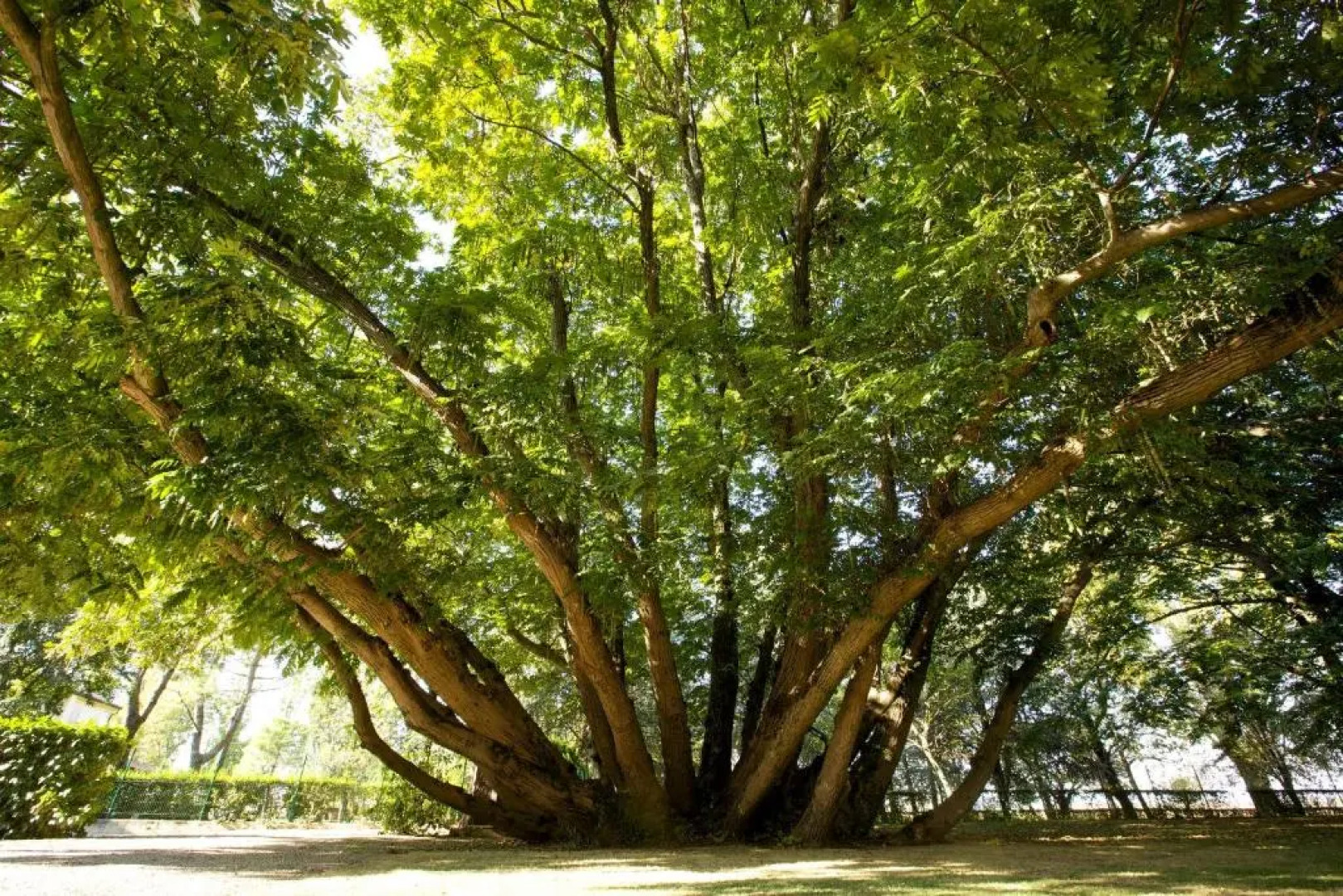 Relais Villa Ormaneto