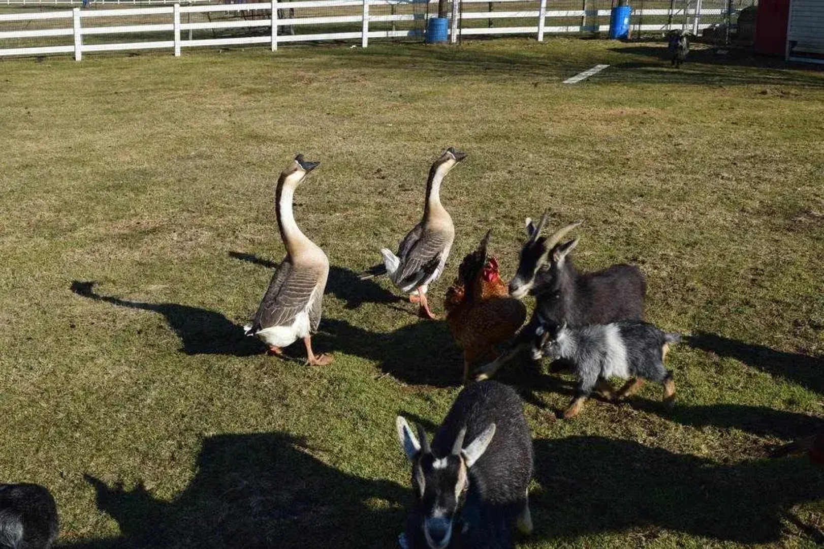 Country View PA Bed & Breakfast