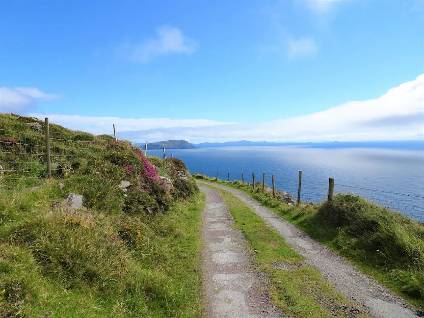 The Grove Lodge Guesthouse & Country Club