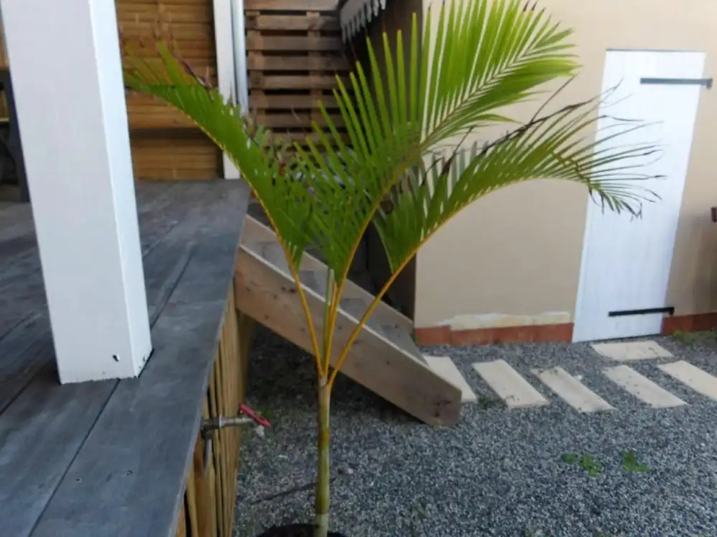 Apartment With one Bedroom in Le Vauclin, With Wonderful sea View, Enc